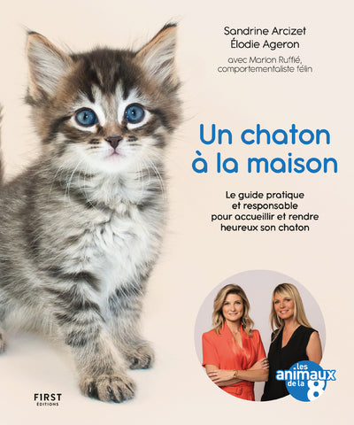Un chaton à la maison