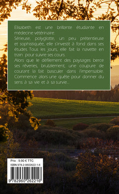 Au détour d'un voyage