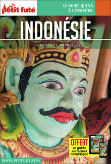 Guide Indonésie 2018 Carnet Petit Futé