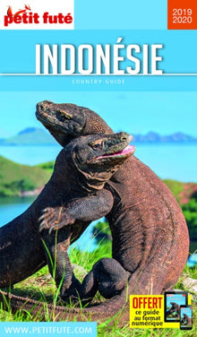 Guide Indonésie 2019-2020 Petit Futé