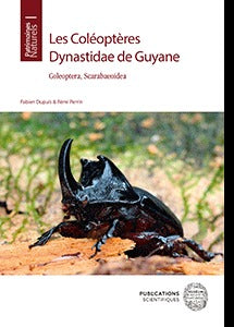 Les coléoptères Dynastidae de Guyane