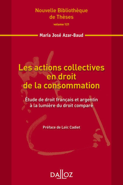Les actions collectives en droit de la consommation