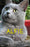 Alfie, le chat du bonheur