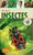 Insectes 360 espèces