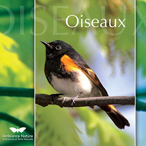 Oiseaux: Ambiance Nature