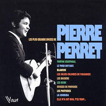 Les Plus grands succès de Pierre Perret